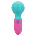 "Naughty Bits to the Max Vibrating Wand SE4410363"