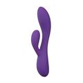 "Sexy Things - Fever Dream - Purple BL-37211"