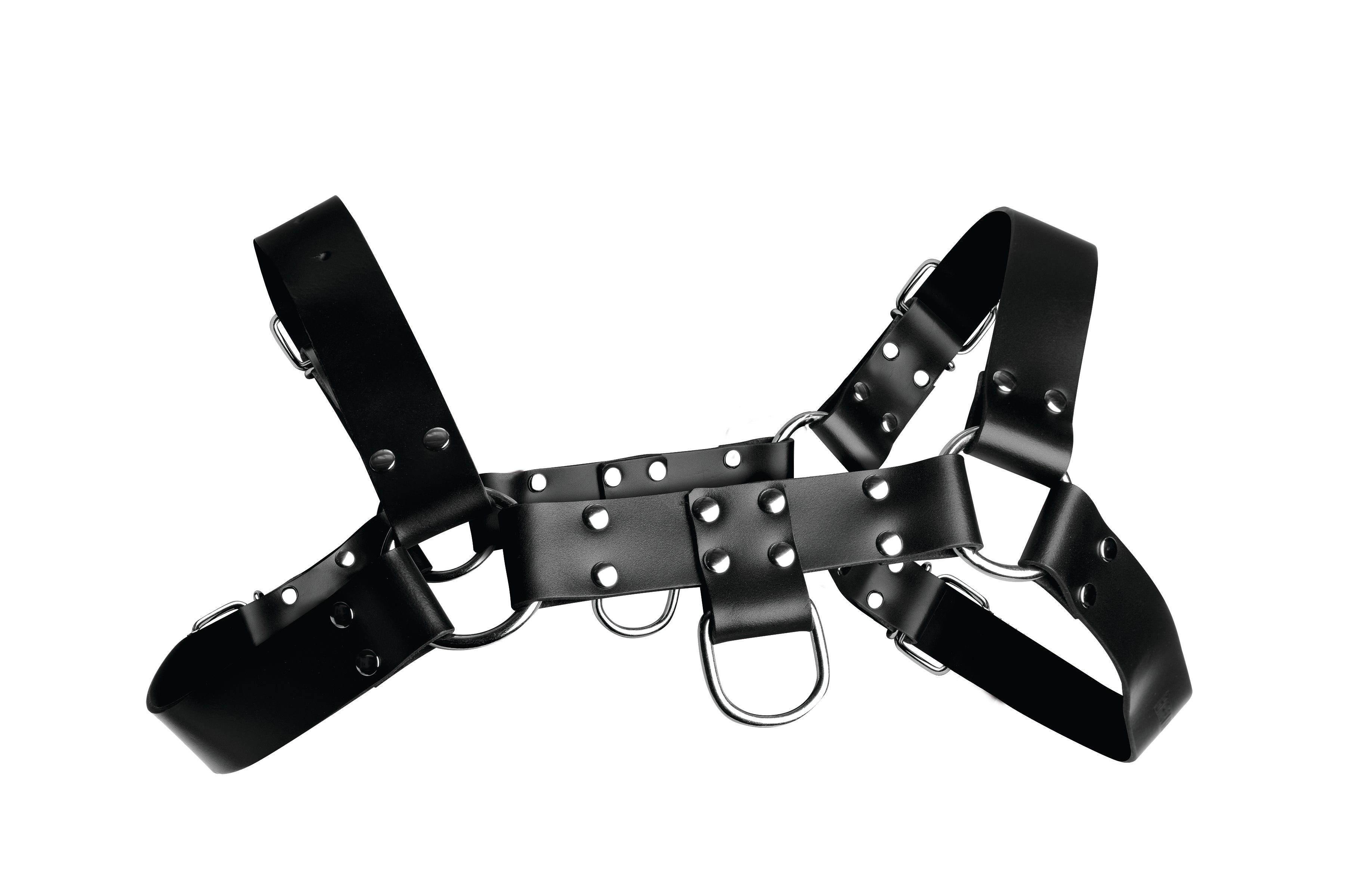 "English Bull Dog Harness STR-AD681"