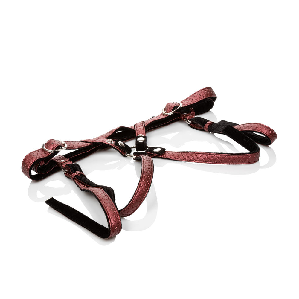 "Her Royal Harness the Regal Duchess - Red SE1563103"