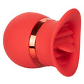 "French Kiss Sweet Talker SE0608053"