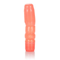"Vibrating Anal T SE0633043"