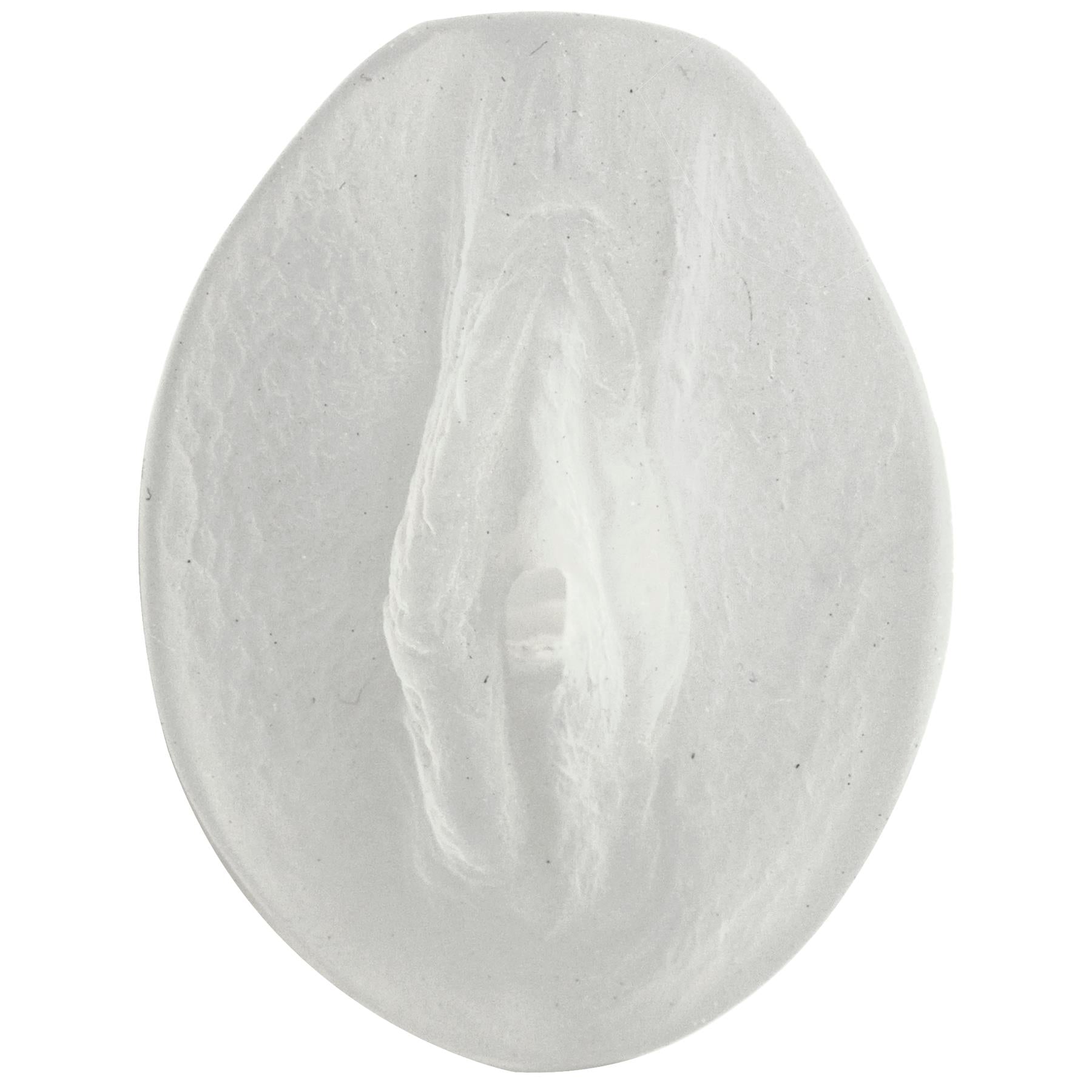 "Palm Pal Frosted Ultraskyn Masturbator - Pussy - Clear DJ0683-01"